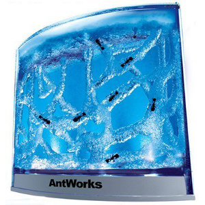 Ant House
