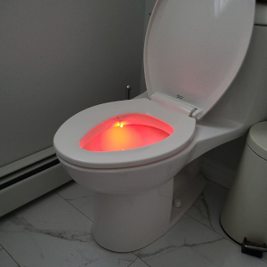 Motion Activated Toilet Bowl Night Light