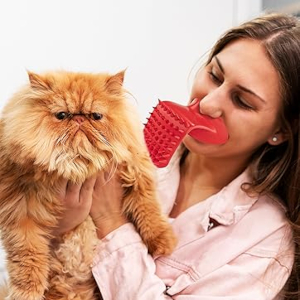 Licking Your Cat Grooming Brush